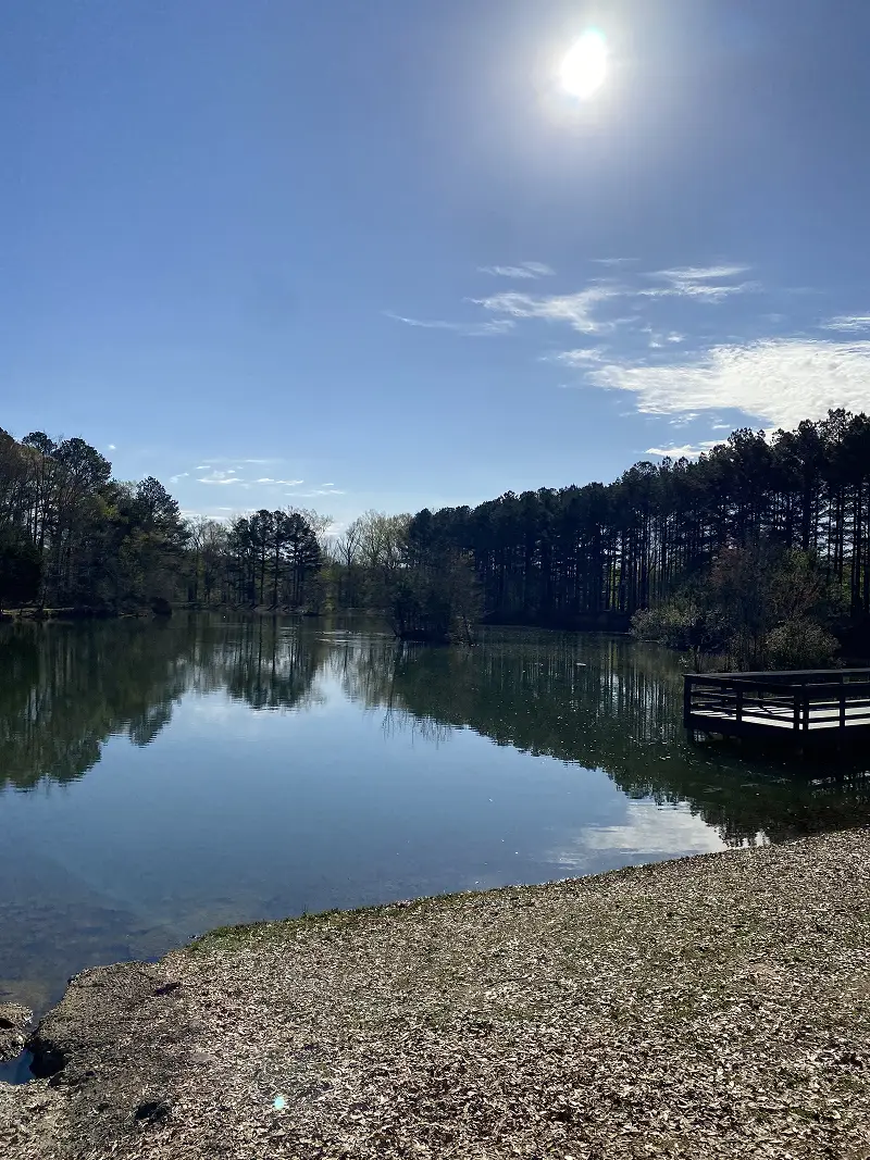 Open green spaces and walking trails at Hays Nature Preserve showing a peaceful natural setting for walking, jogging, and quiet outdoor relaxation